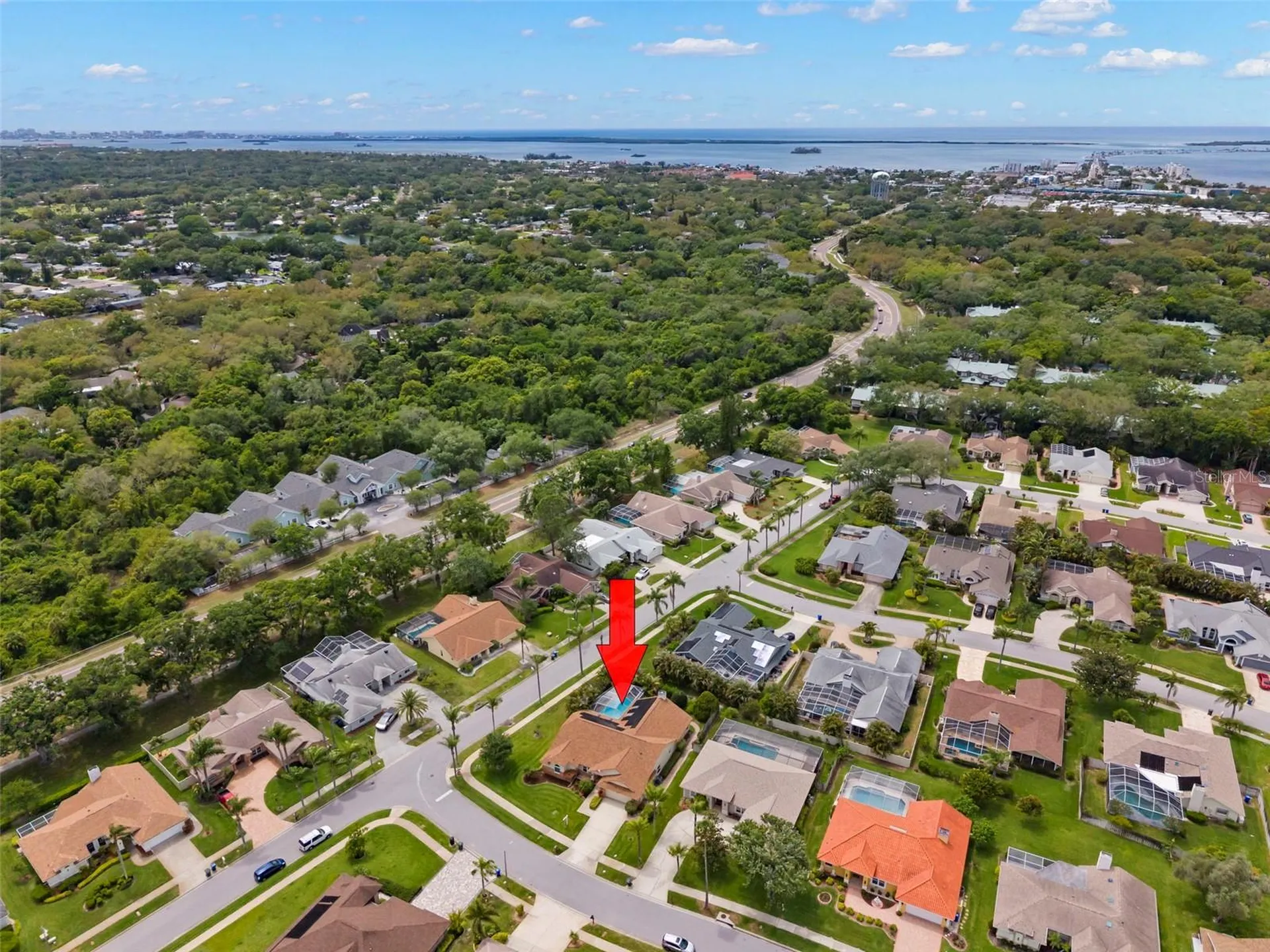 2686 Scobee Drive Palm Harbor FL 34683