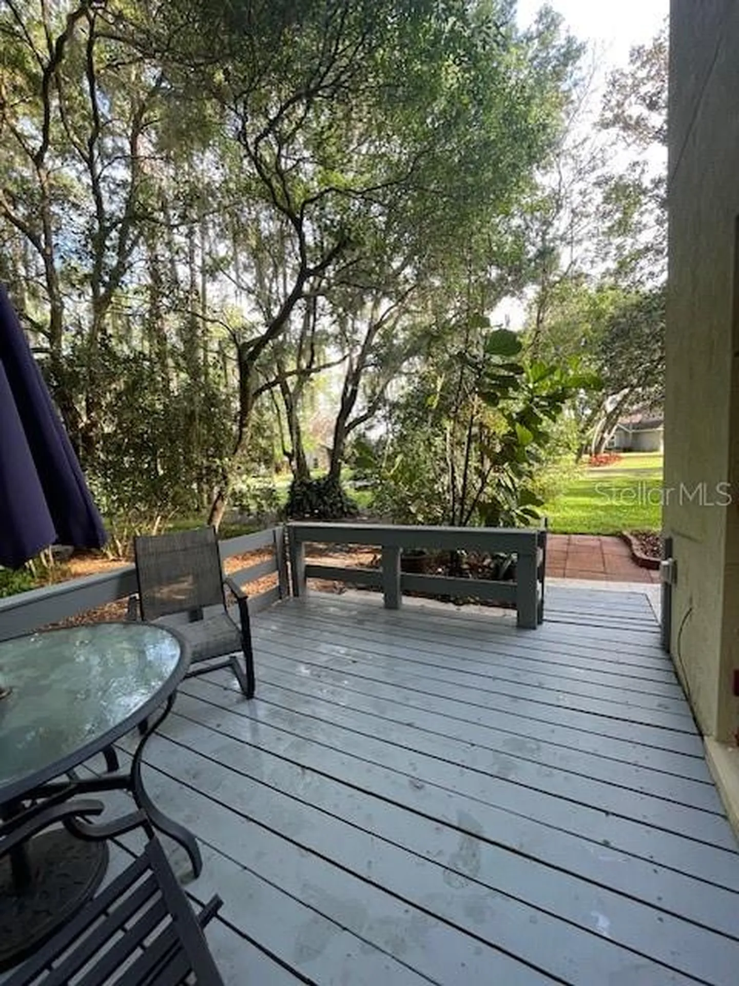 14202 Nell Drive Orlando FL 32832