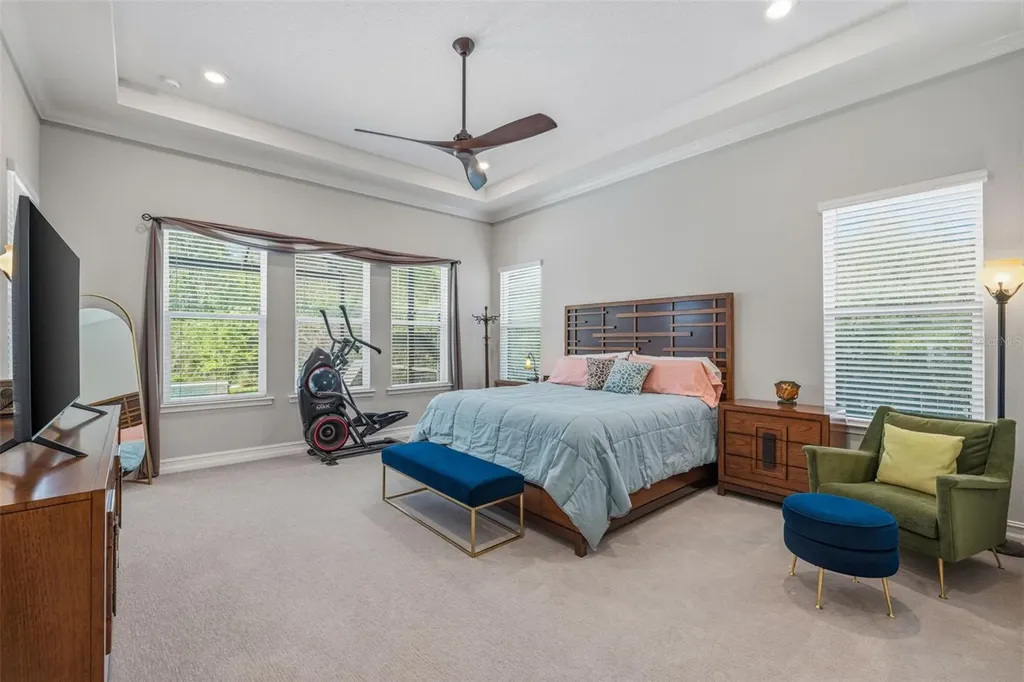 3636 Madison Cypress Drive Lutz FL 33558