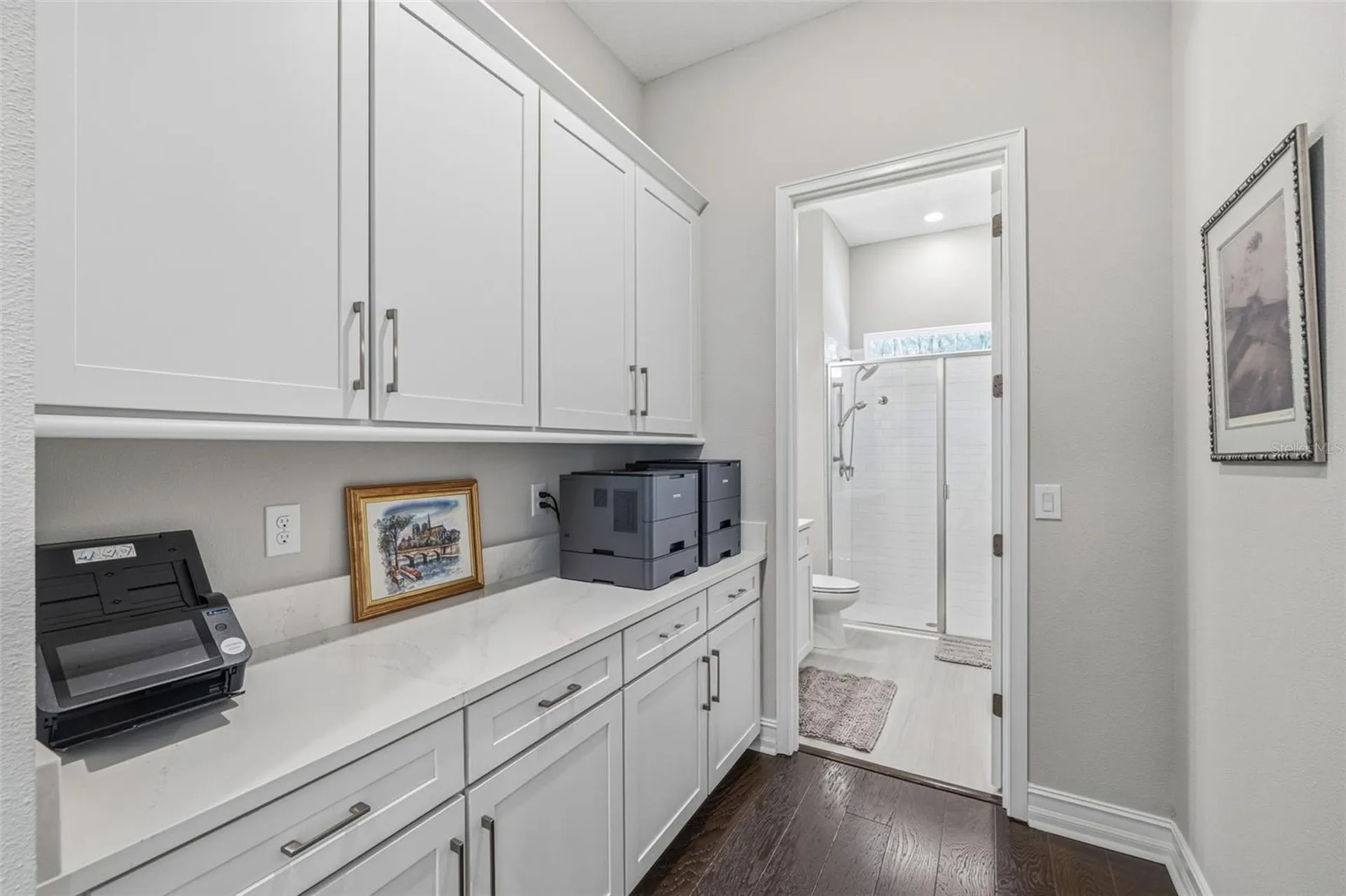 3636 Madison Cypress Drive Lutz FL 33558