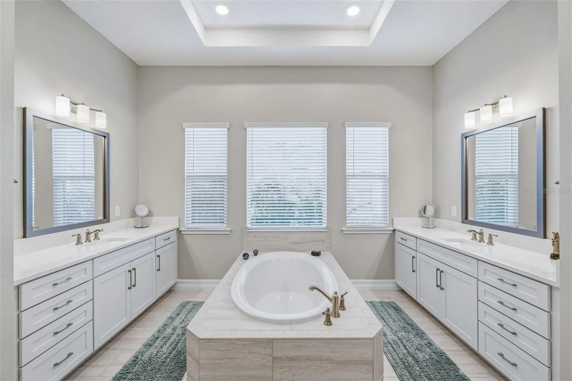 3636 Madison Cypress Drive Lutz FL 33558
