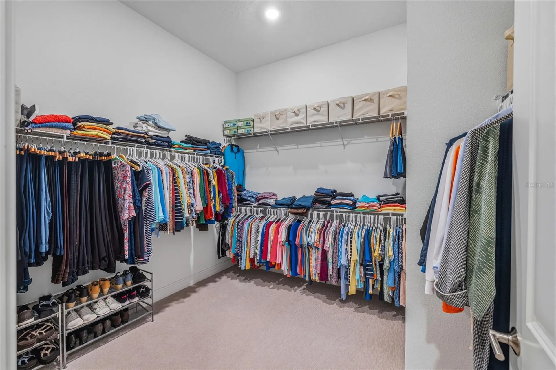 3636 Madison Cypress Drive Lutz FL 33558