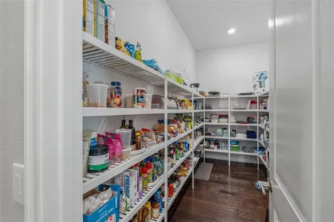 3636 Madison Cypress Drive Lutz FL 33558