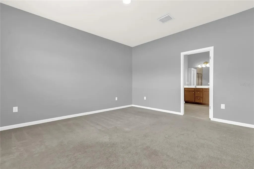 29307 Meadowcroft Avenue Wesley Chapel FL 33544