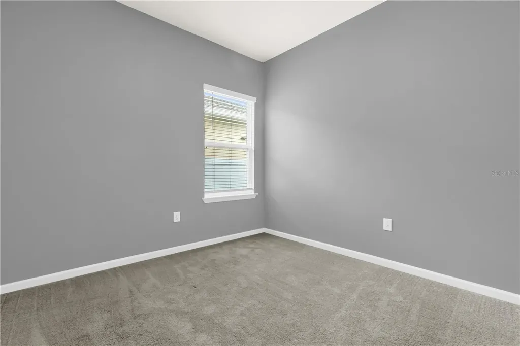 29307 Meadowcroft Avenue Wesley Chapel FL 33544