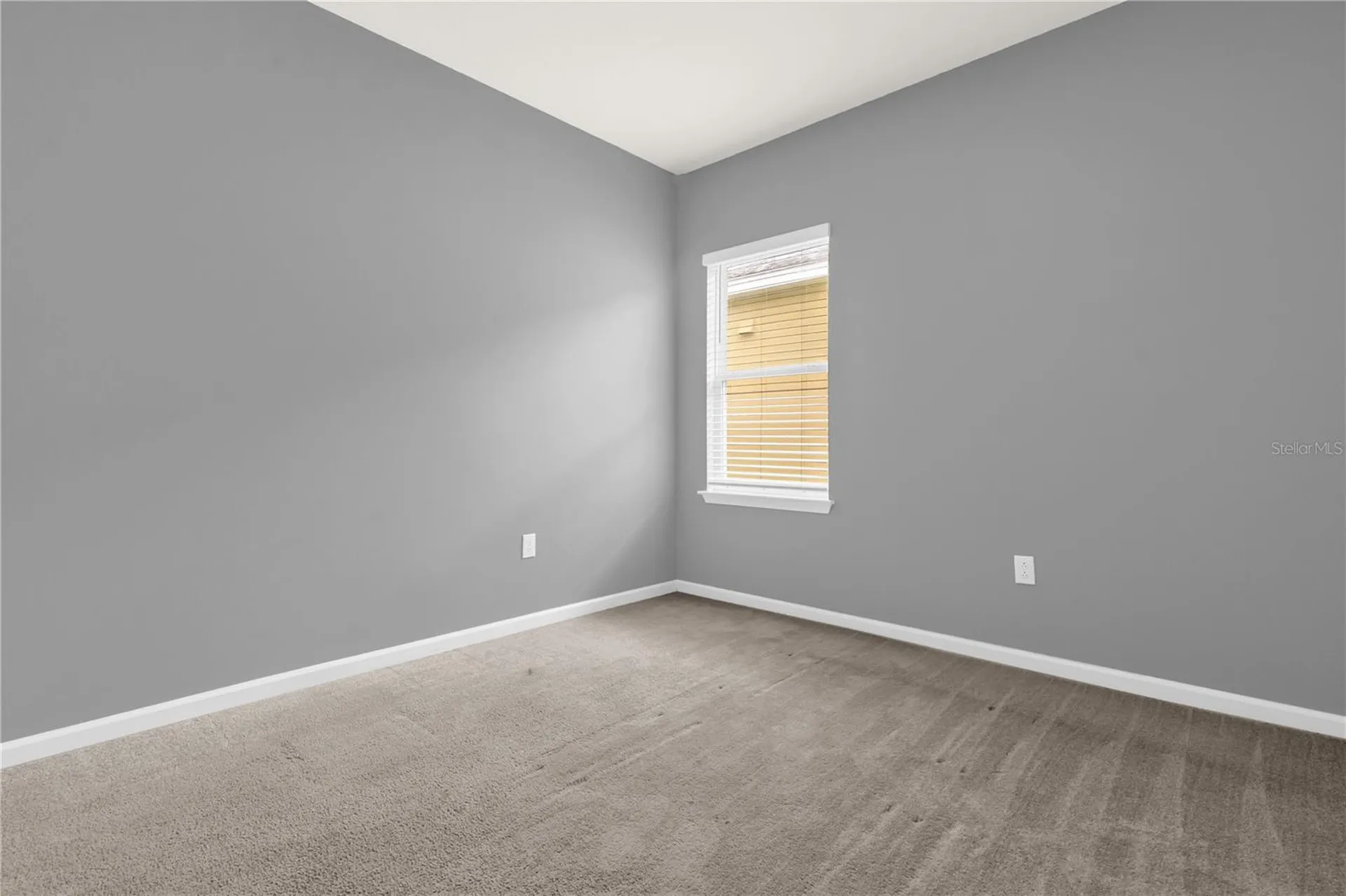 29307 Meadowcroft Avenue Wesley Chapel FL 33544