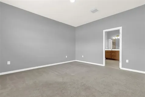 29307 Meadowcroft Avenue Wesley Chapel FL 33544