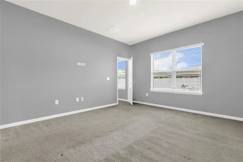 29307 Meadowcroft Avenue Wesley Chapel FL 33544