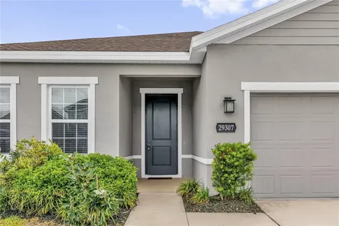 29307 Meadowcroft Avenue Wesley Chapel FL 33544