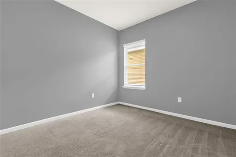 29307 Meadowcroft Avenue Wesley Chapel FL 33544