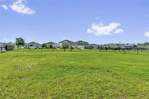 29307 Meadowcroft Avenue Wesley Chapel FL 33544