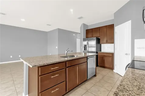29307 Meadowcroft Avenue Wesley Chapel FL 33544
