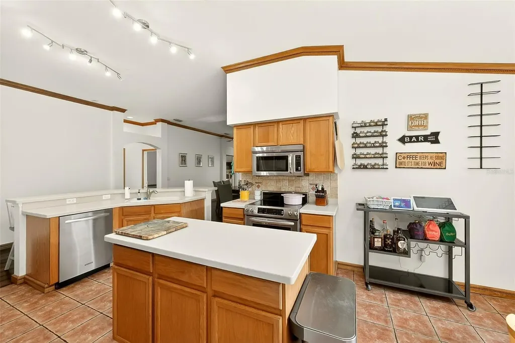 2927 Hickory Grove Drive Valrico FL 33596