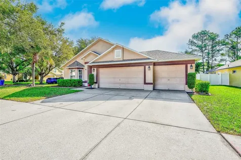 2927 Hickory Grove Drive Valrico FL 33596