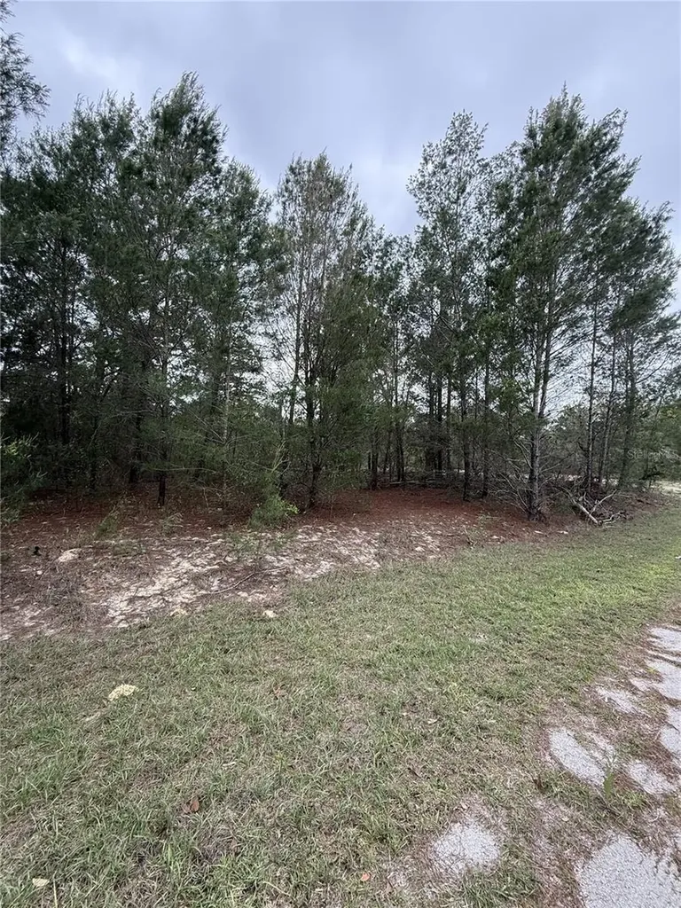 Tbd Malauka Track Ocklawaha FL 32179