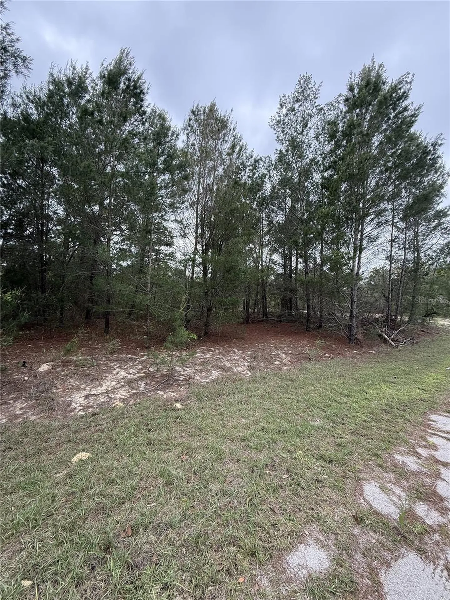 Tbd Malauka Track Ocklawaha FL 32179