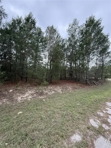 Tbd Malauka Track Ocklawaha FL 32179