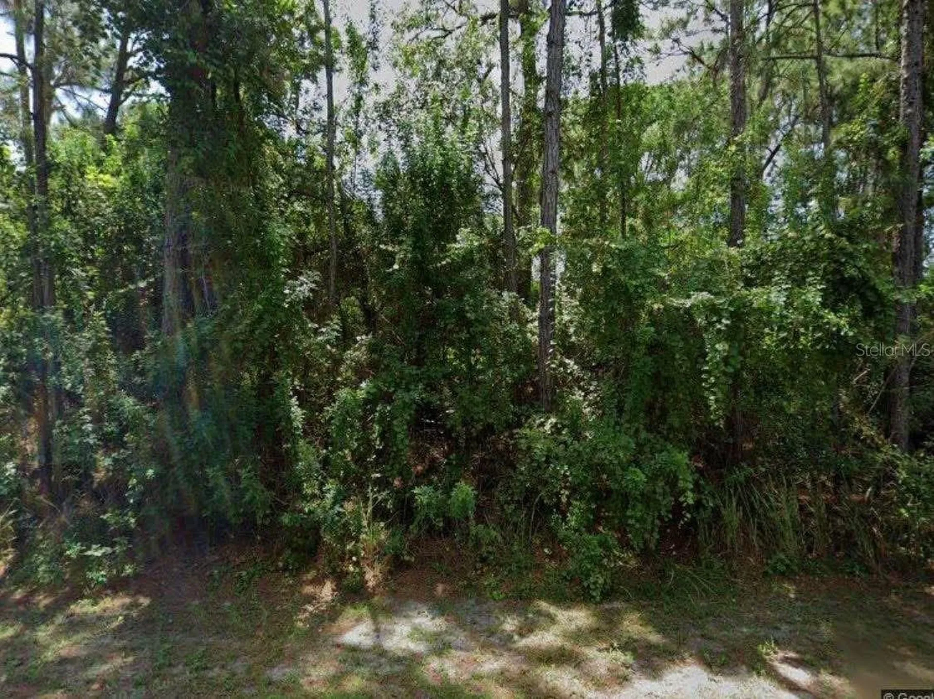 1250 Gingold Street NW Palm Bay FL 32907