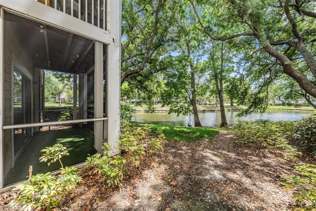 10024 Strafford Oak Court Tampa FL 33624