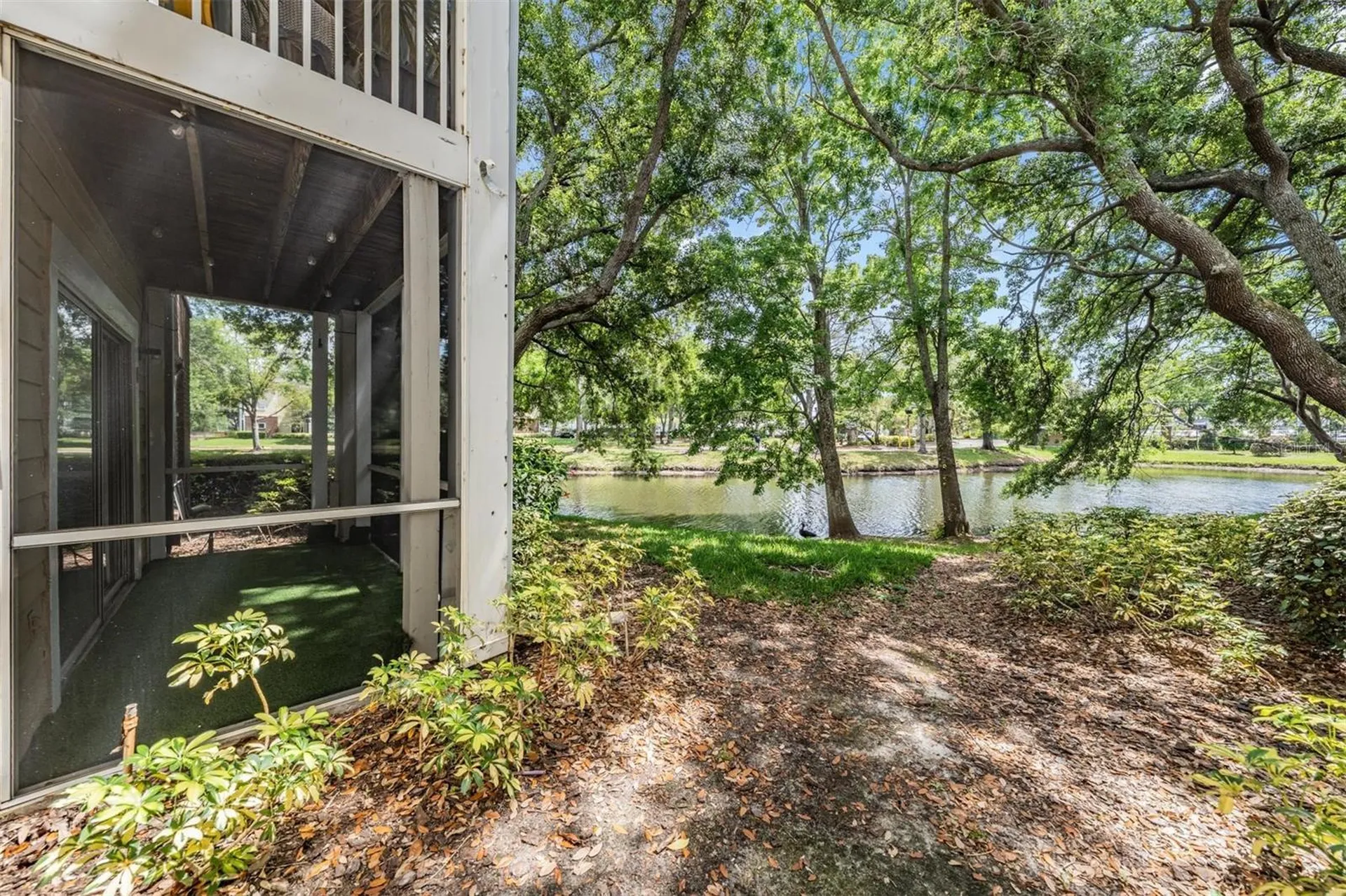 10024 Strafford Oak Court Tampa FL 33624