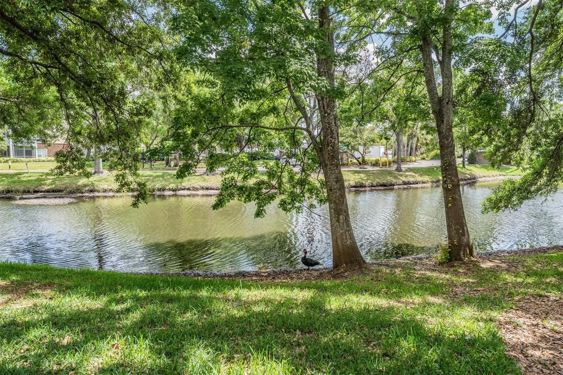 10024 Strafford Oak Court Tampa FL 33624