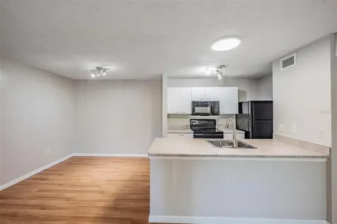 10024 Strafford Oak Court Tampa FL 33624