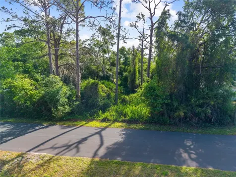 Burton Drive St Cloud FL 34771