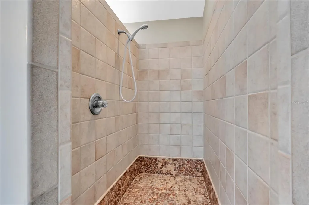 2487 Saddlewood Lane Palm Harbor FL 34685