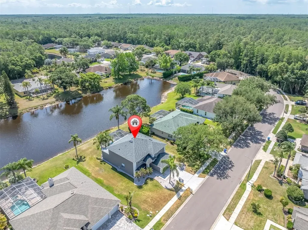 2487 Saddlewood Lane Palm Harbor FL 34685
