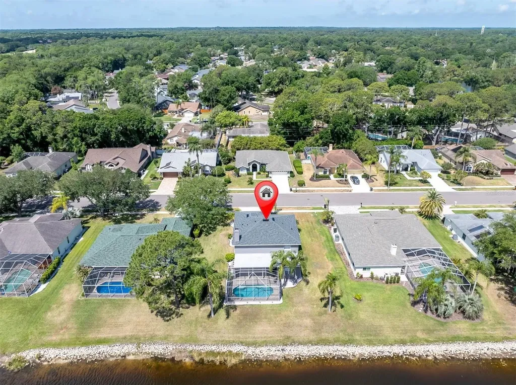 2487 Saddlewood Lane Palm Harbor FL 34685