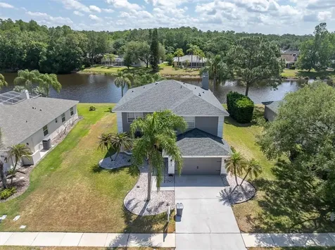 2487 Saddlewood Lane Palm Harbor FL 34685