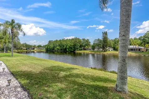 2487 Saddlewood Lane Palm Harbor FL 34685