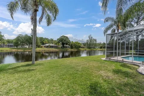 2487 Saddlewood Lane Palm Harbor FL 34685