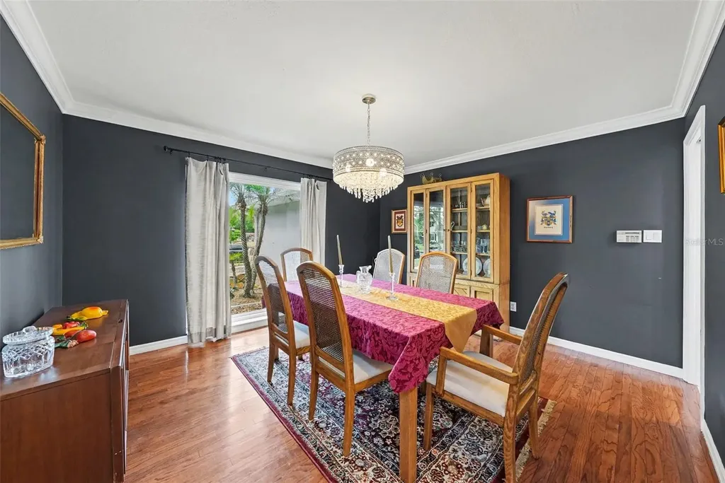 1009 Morfield Lane Brandon FL 33511