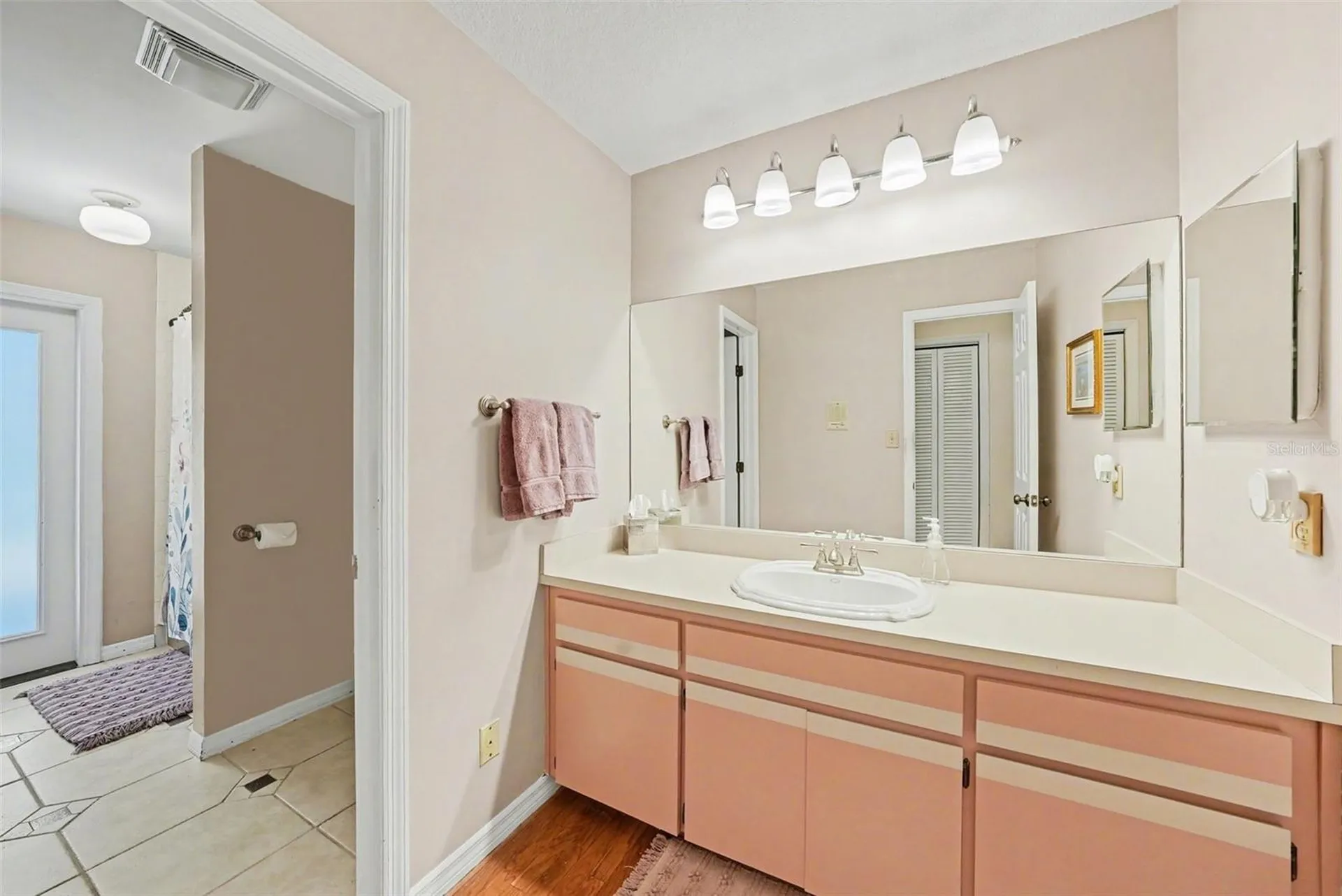 1009 Morfield Lane Brandon FL 33511
