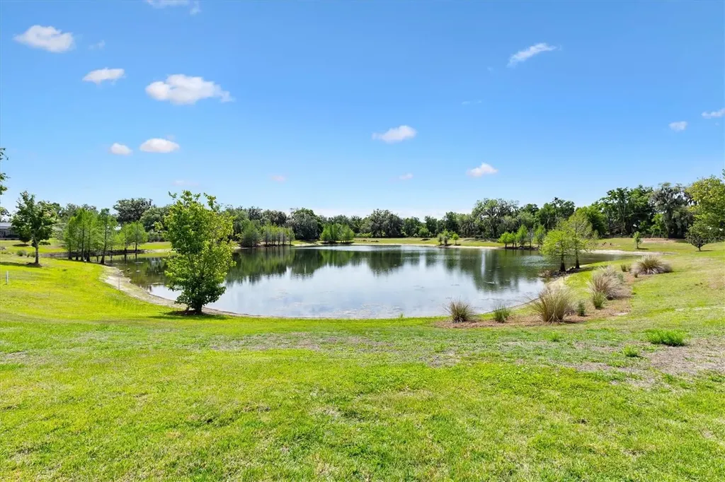 2088 Vision Court The Villages FL 32163
