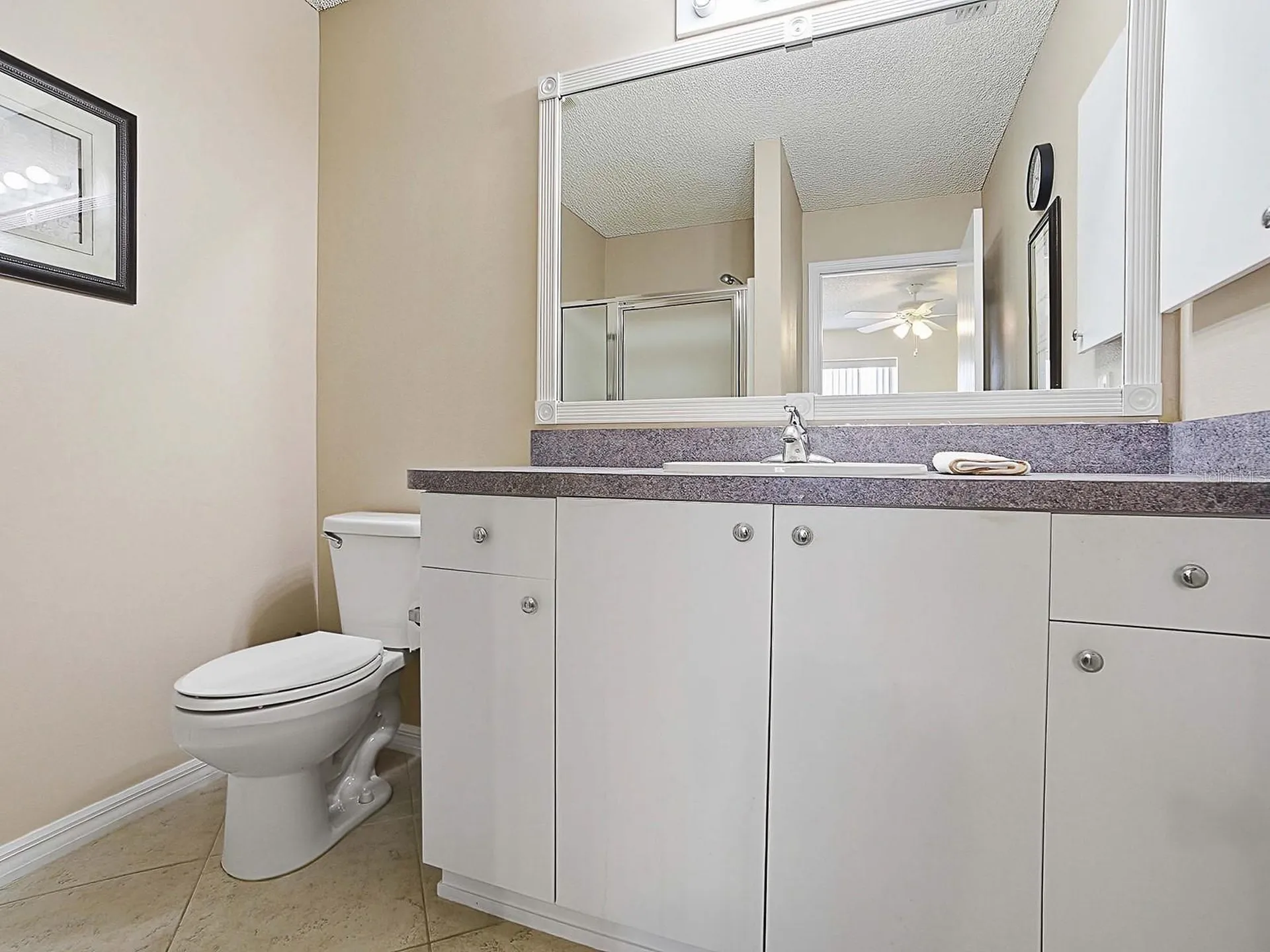8830 SE 168th Sedgwick Place The Villages FL 32162