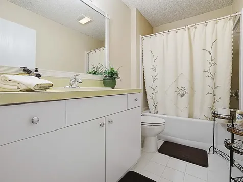 8830 SE 168th Sedgwick Place The Villages FL 32162