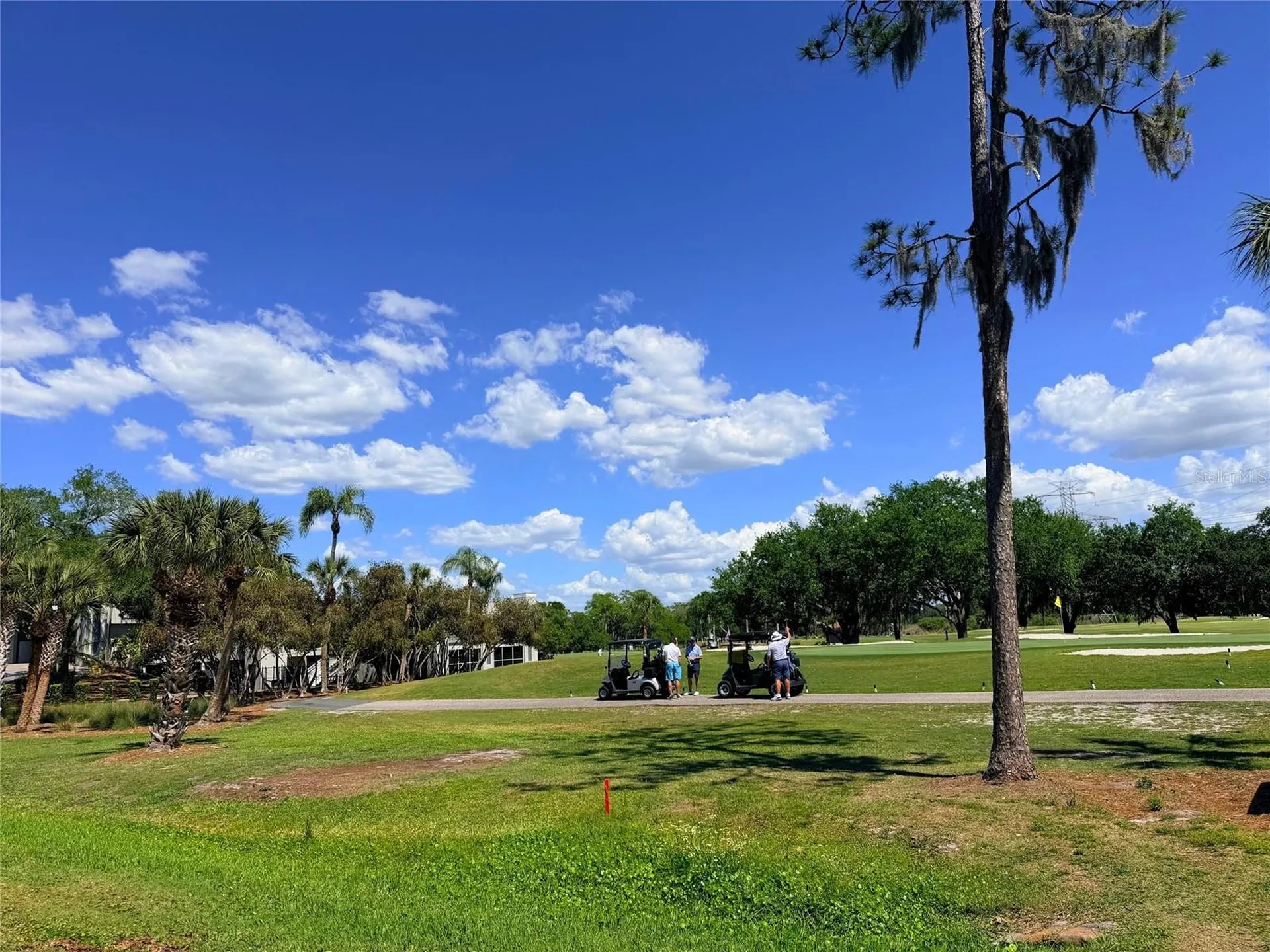260 Woodlake E Oldsmar FL 34677
