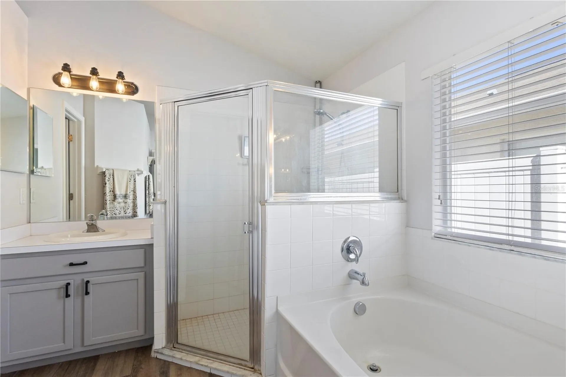 3204 Prairie Iris Drive Land O Lakes FL 34638