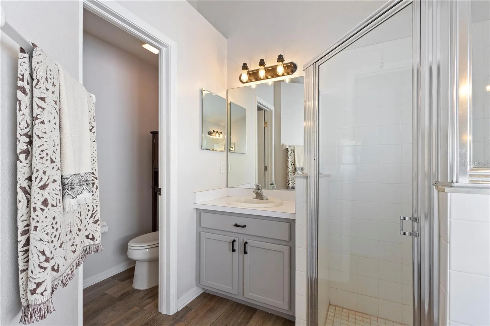 3204 Prairie Iris Drive Land O Lakes FL 34638