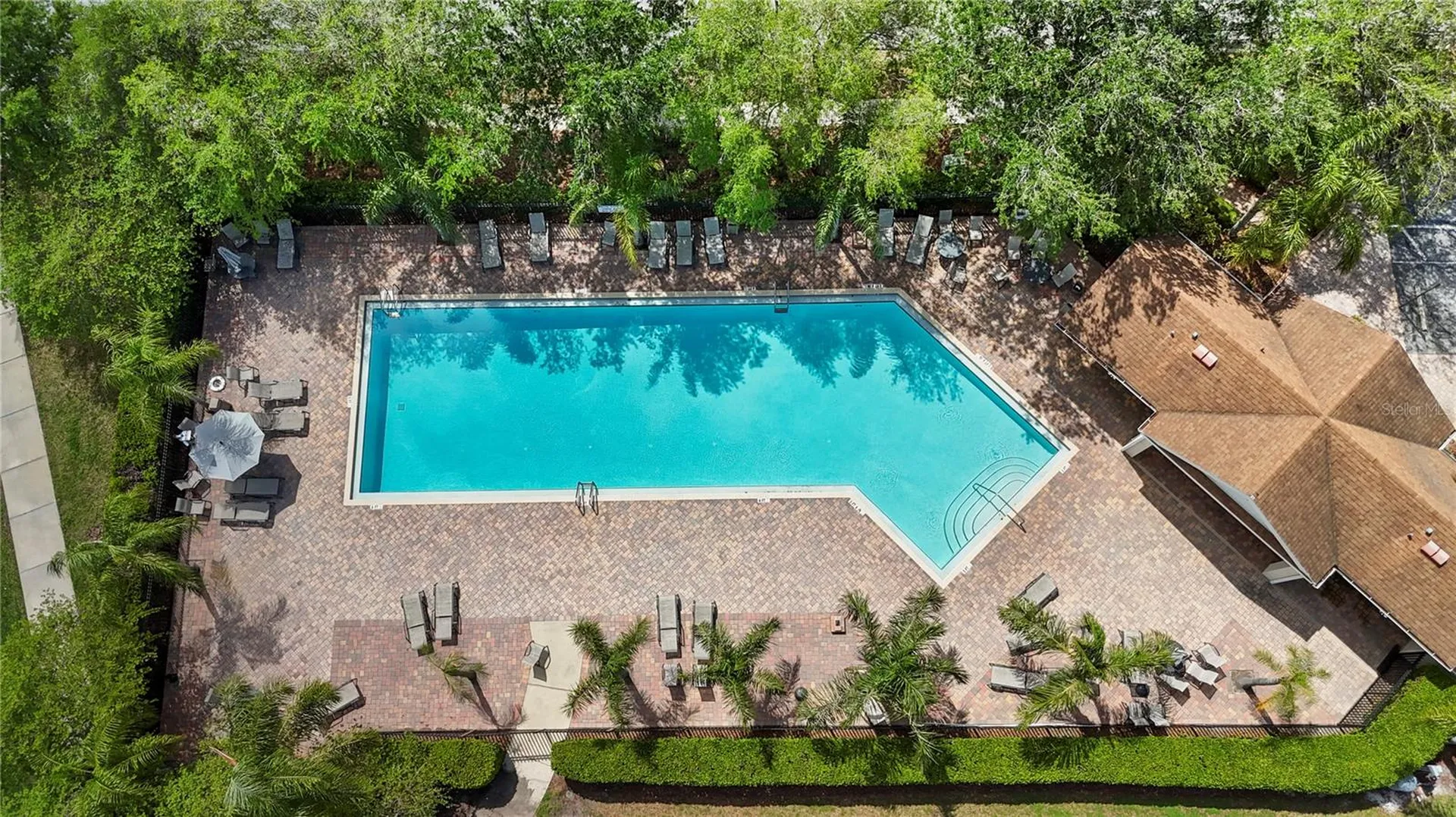 3204 Prairie Iris Drive Land O Lakes FL 34638
