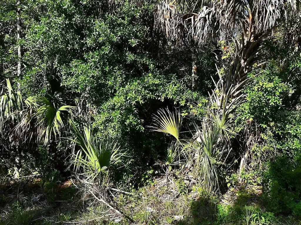 Montcalm Avenue North Port FL 34291