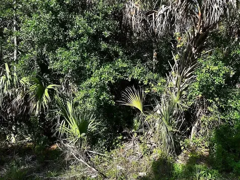 Montcalm Avenue North Port FL 34291