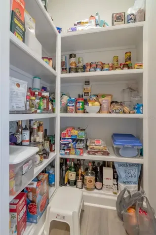 4170 Barletta Court Wesley Chapel FL 33543