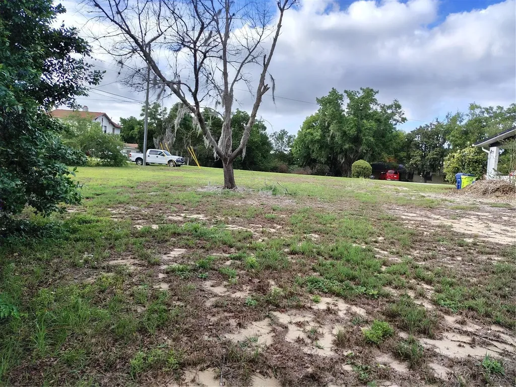 0 E Myrtle Street Howey In The Hills FL 34737