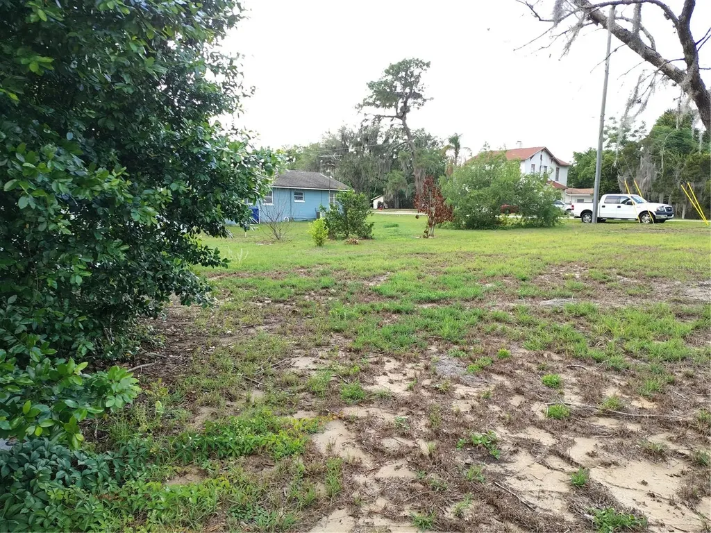 0 E Myrtle Street Howey In The Hills FL 34737