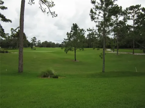 1615 Timber Pines Court Deland FL 32724