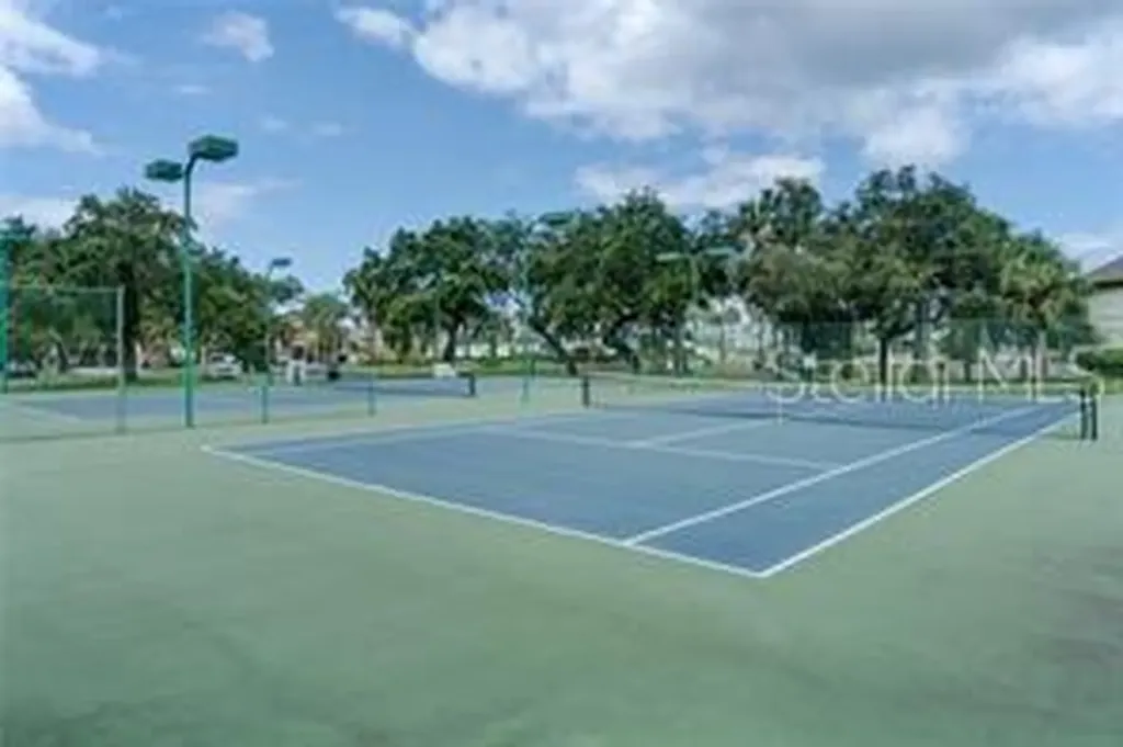 6225 Bayside Drive New Port Richey FL 34652