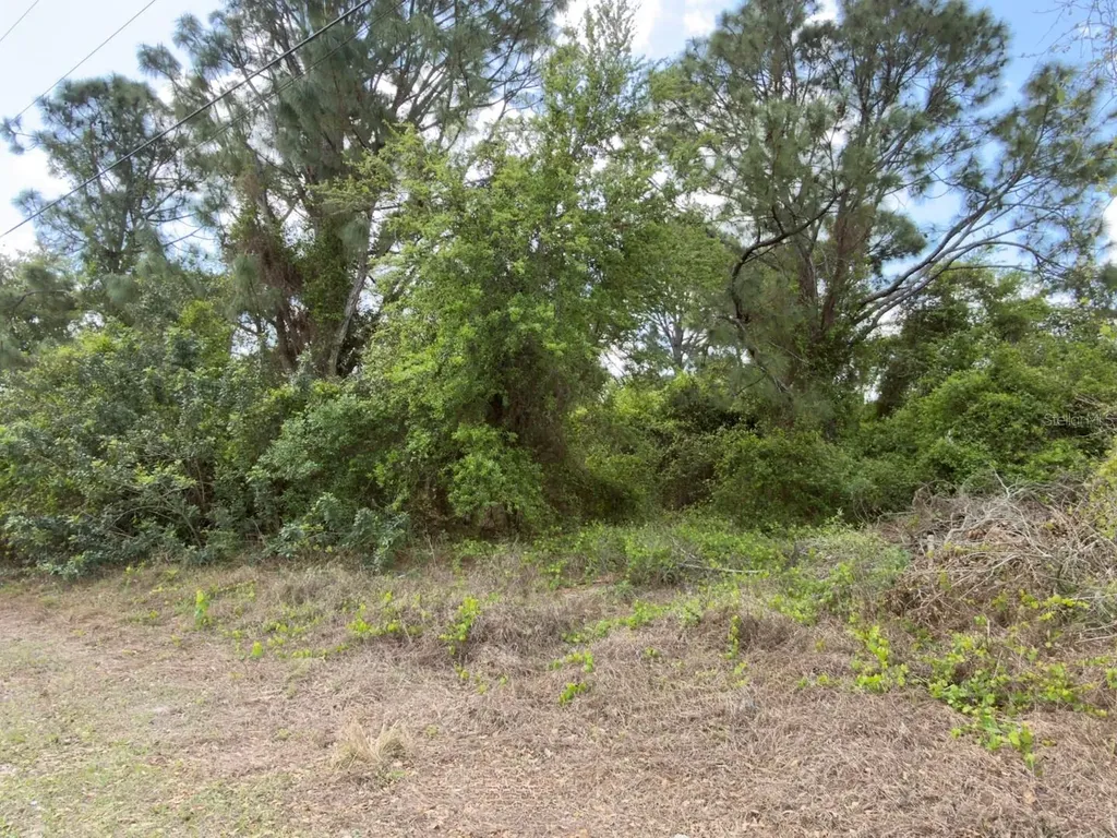 4529 28th Street SW Lehigh Acres FL 33973